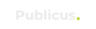 Publicus Digital Marketing Agency company logo