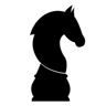 Medyahors firma logosu