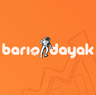 Barış Dayak - Web Design and SEO Specialist firma logosu